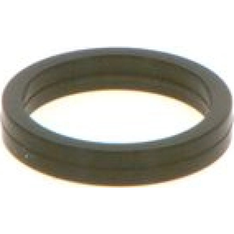 Dichtring F 00V C38 100 Dichtring F 00V C38 100