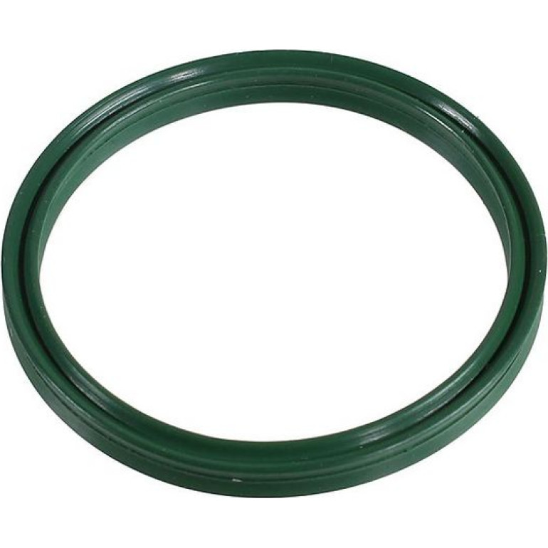 Dichtring 2430004