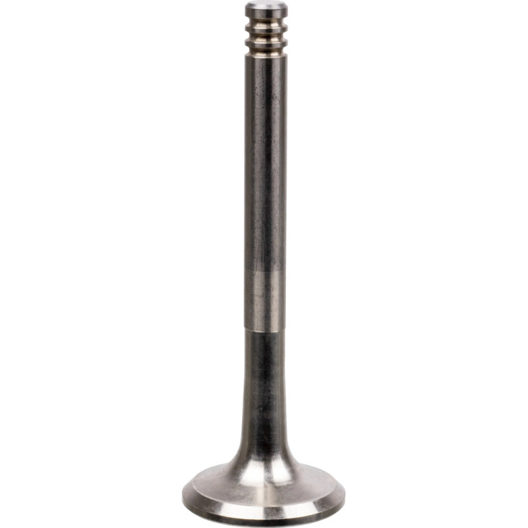 FEBI BILSTEIN 19974 Auslassventil