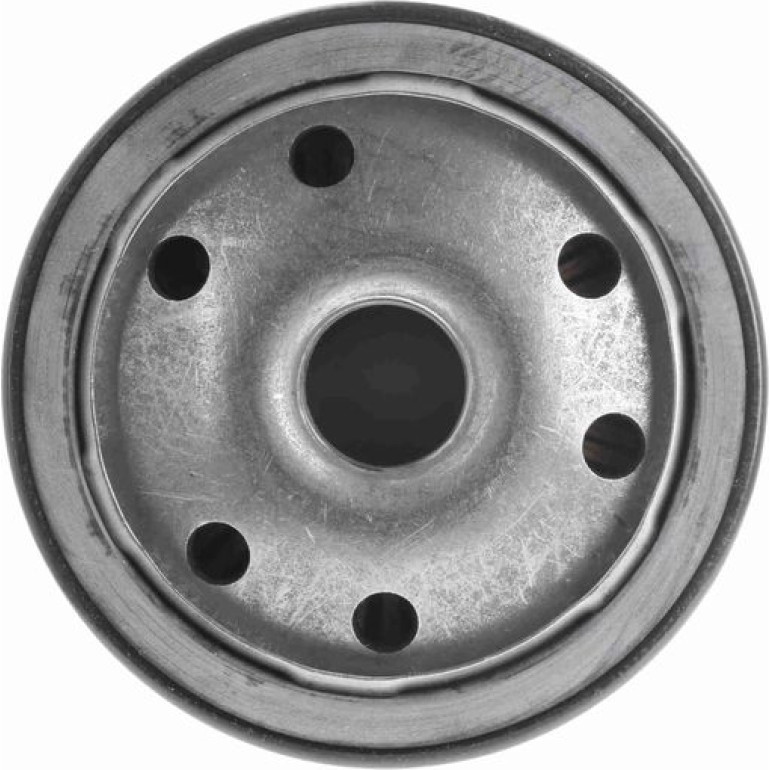 Ölfilter V40-0089