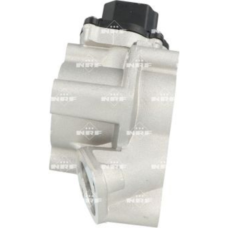 AGR-Ventil 48663 AGR-Ventil 48663