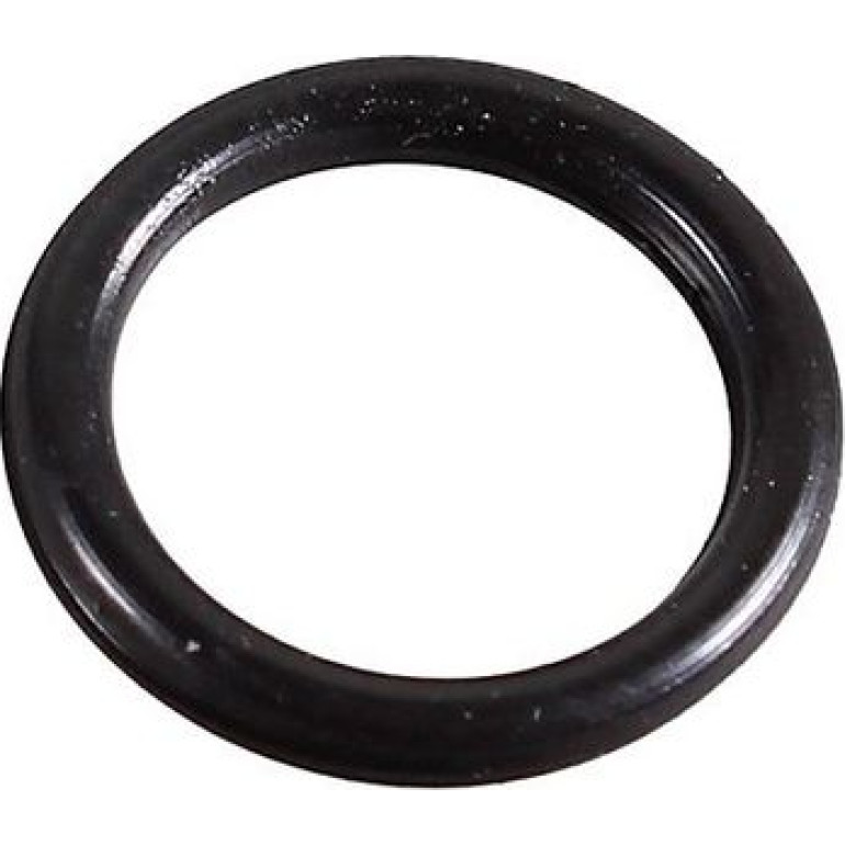 Dichtring 2430055 Dichtring 2430055