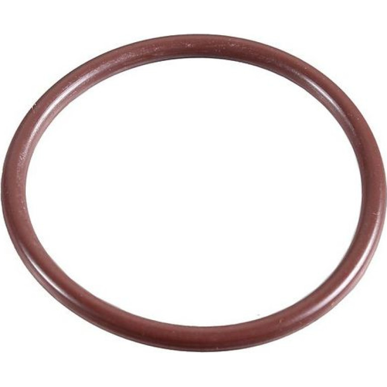 Dichtring 2430076