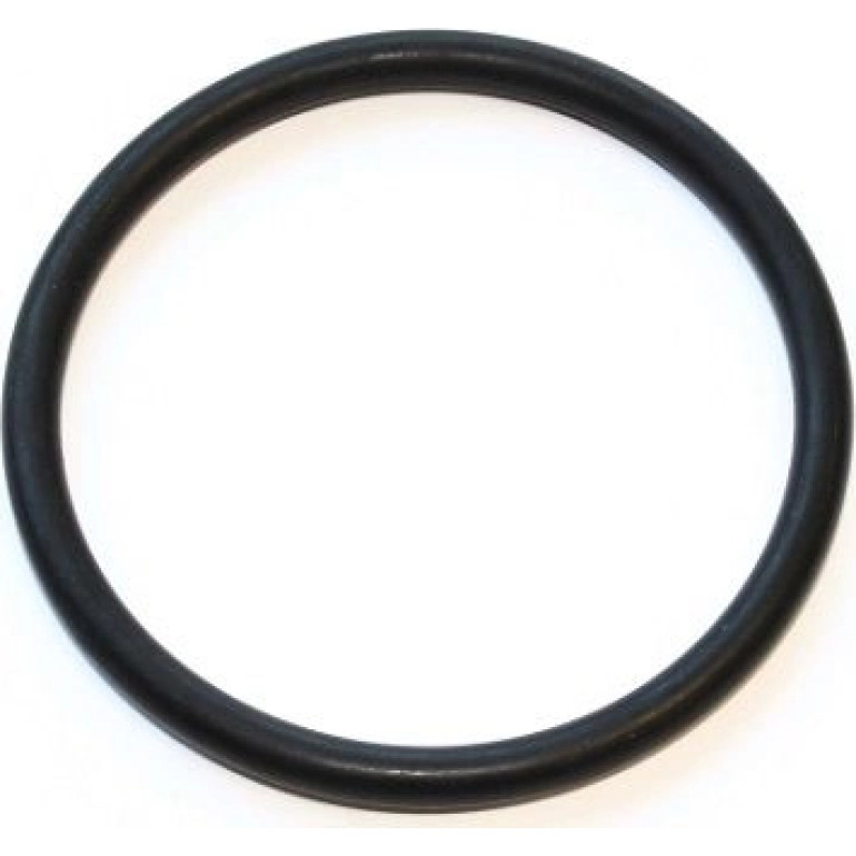 Dichtring 330.876 Dichtring 330.876