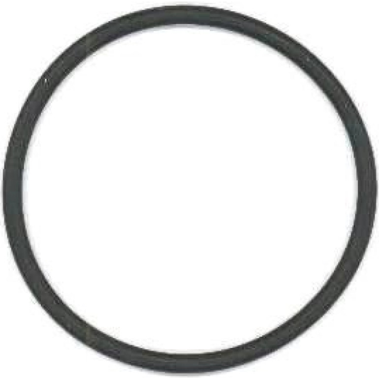 Dichtring 703.087
