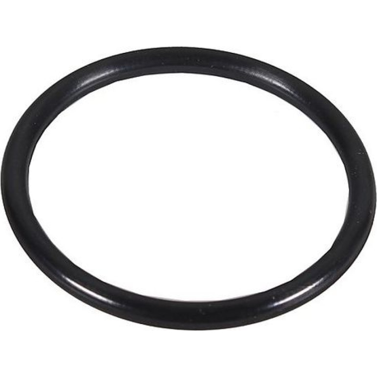 Dichtring, Lader 2430159