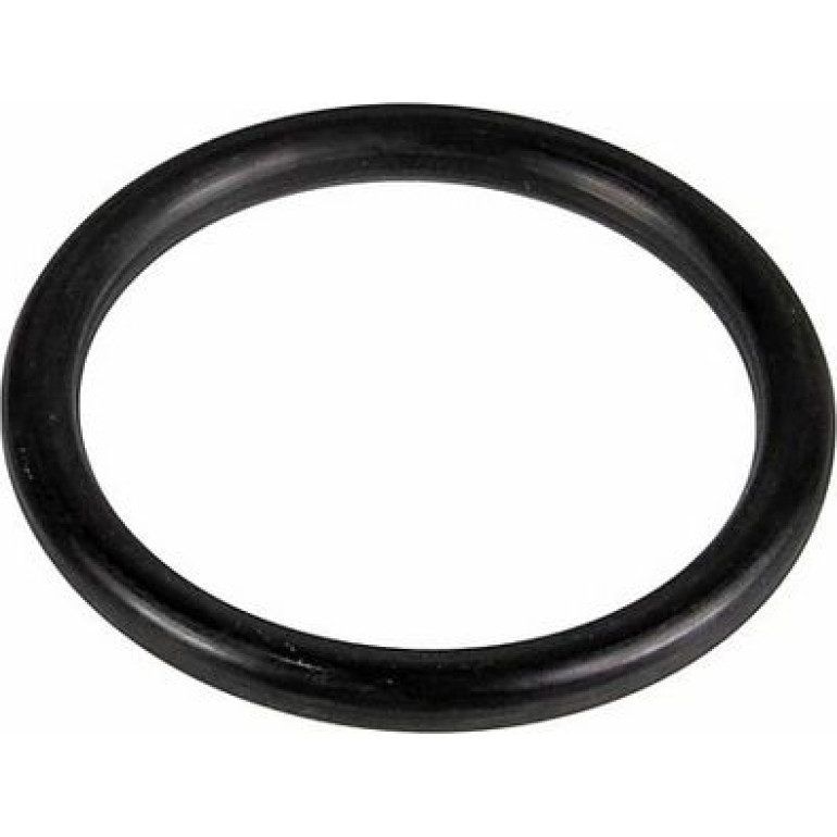 Dichtring 2430101 Dichtring 2430101