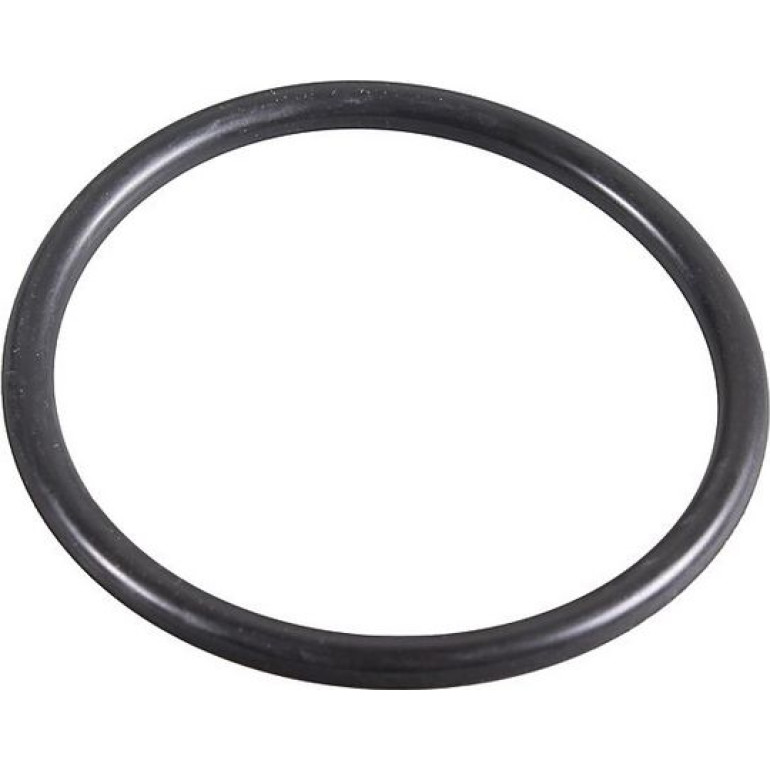 Dichtring 2430031