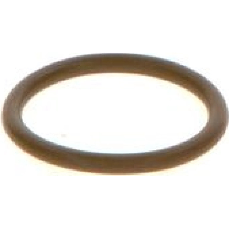 Dichtring F 00V C38 044