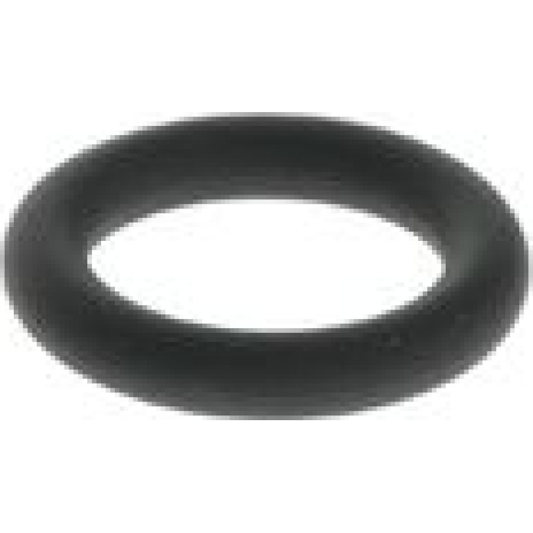 Dichtring F 00R J00 529 Dichtring F 00R J00 529