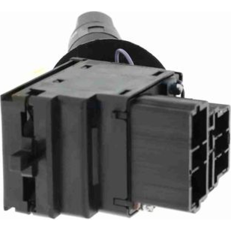 Schalter, Hauptlicht V22-80-0003