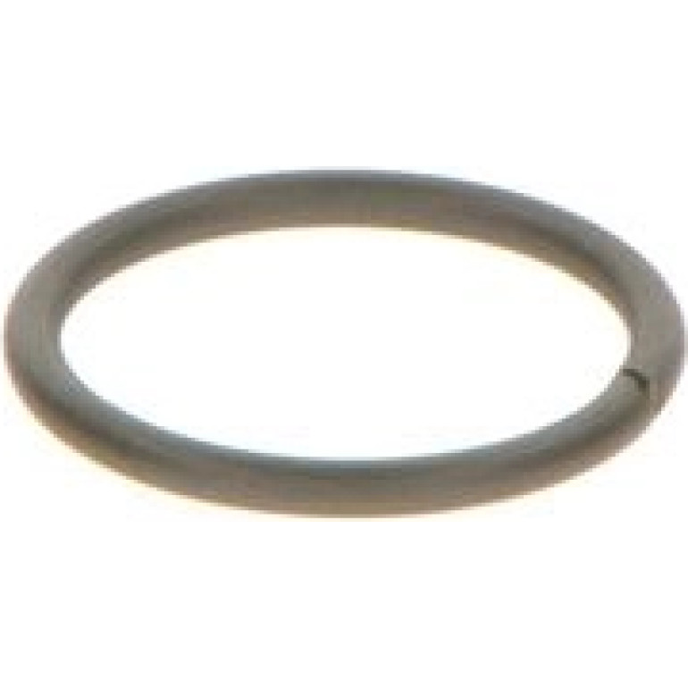 Dichtring F 00V C23 002