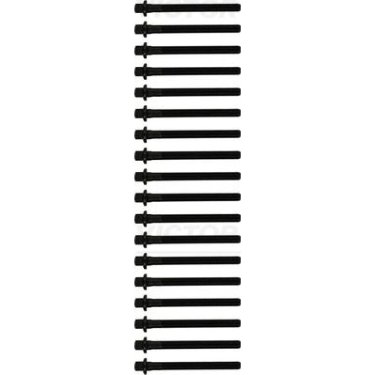 Zylinderkopfschraubensatz 14-10569-01