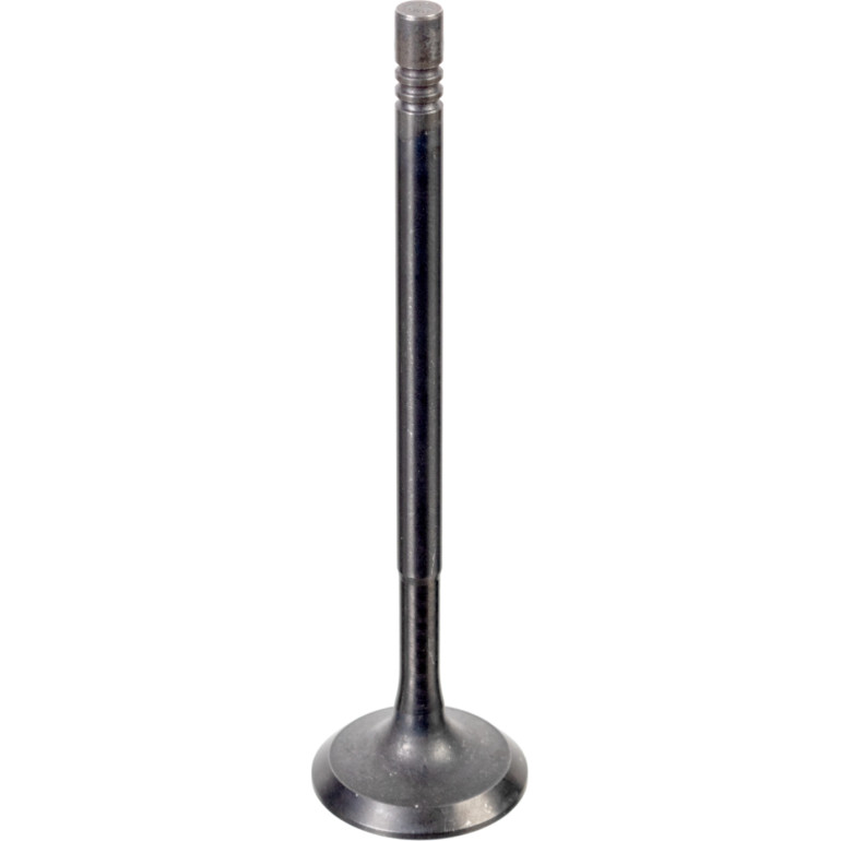 FEBI BILSTEIN 176538 Einlassventil