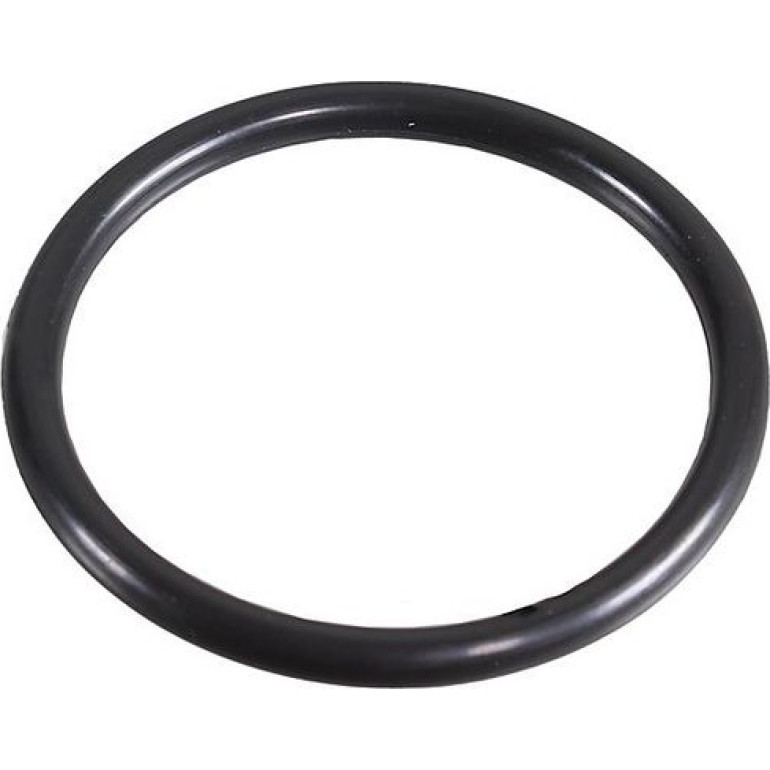 Dichtring 2430067 Dichtring 2430067