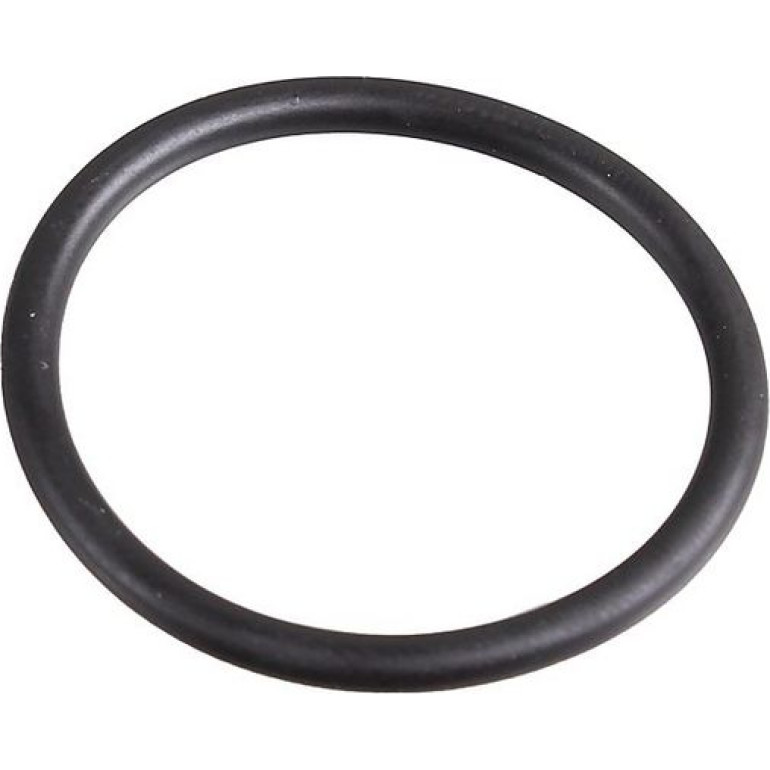 Dichtring 2430102