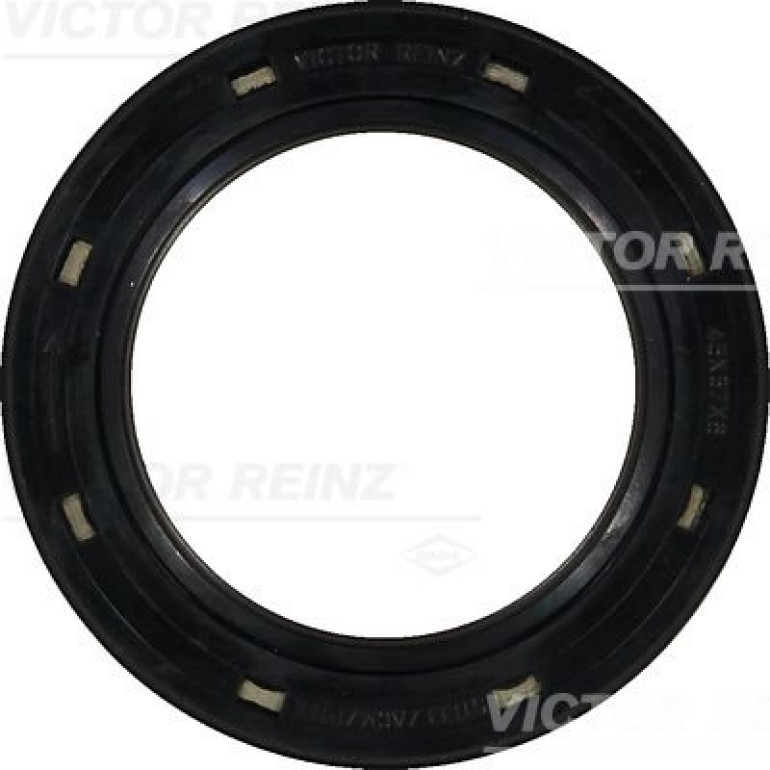 Wellendichtring, Kurbelwelle 81-26248-10 Wellendichtring, Kurbelwelle 81-26248-10