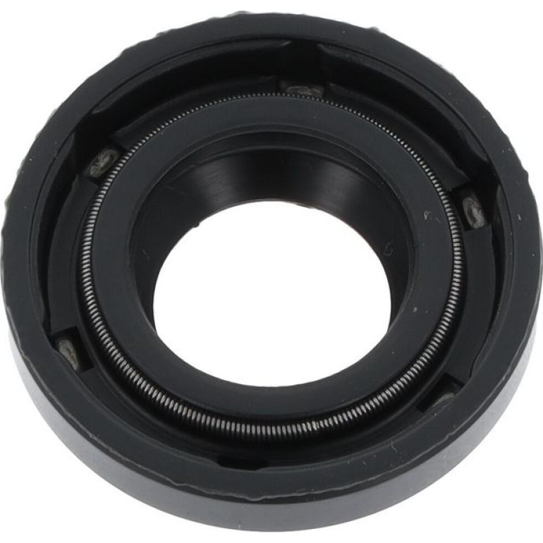 Dichtring 12012530B