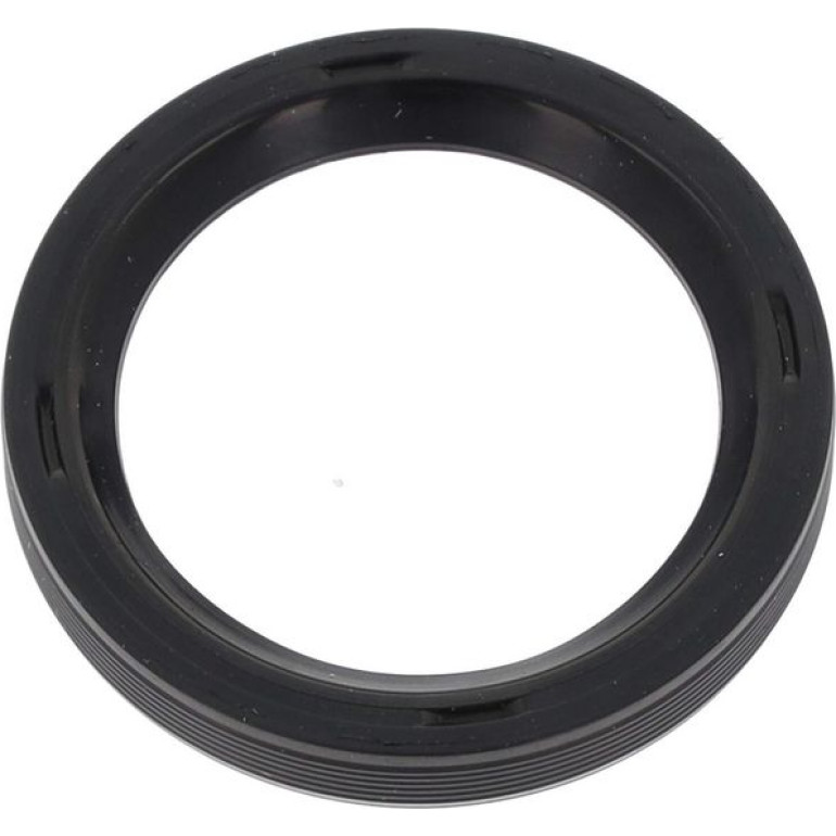 Dichtring 20030493B