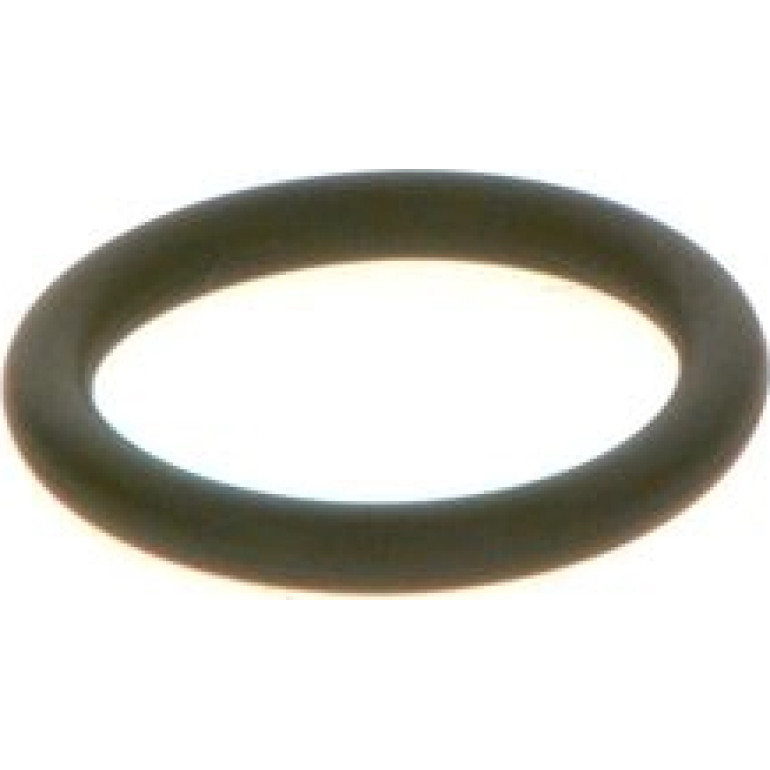 Dichtring F 00R J01 605 Dichtring F 00R J01 605
