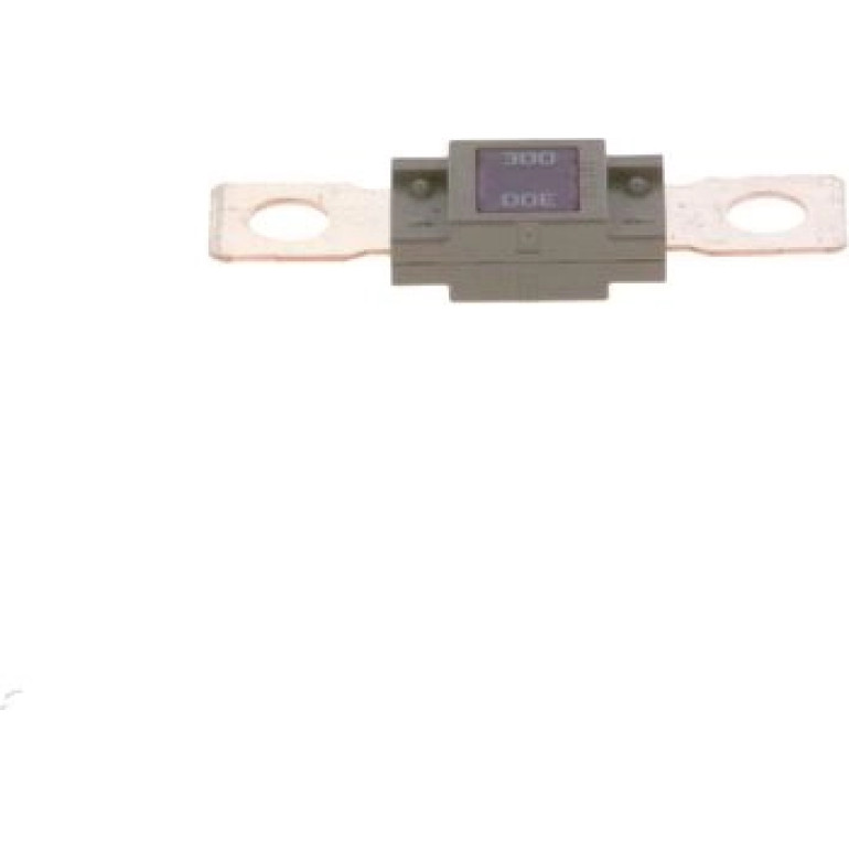 Sicherung 1 987 531 007 Sicherung 1 987 531 007