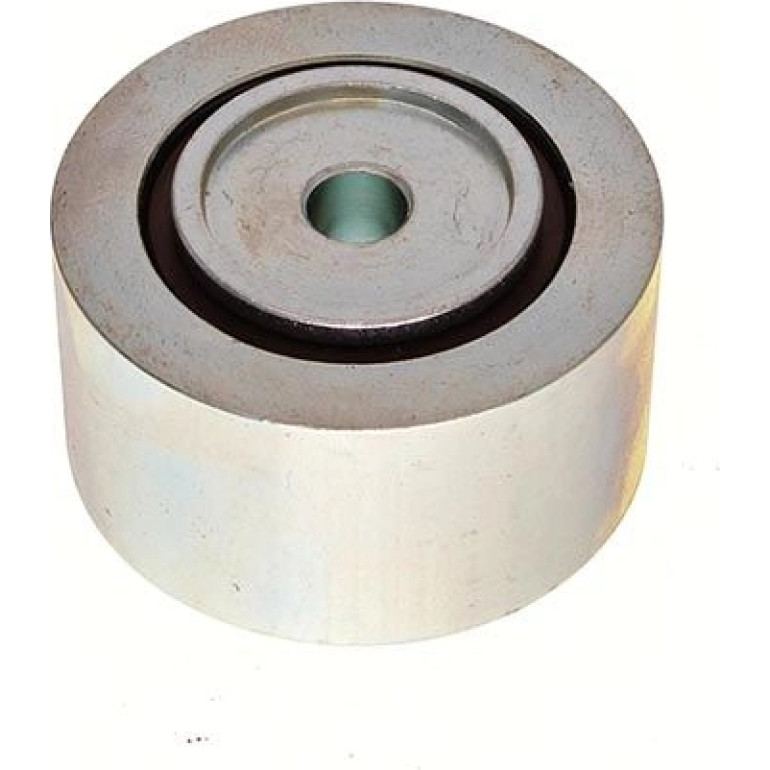 Umlenk-/Führungsrolle, Keilrippenriemen 54-0169 Umlenk-/Führungsrolle, Keilrippenriemen 54-0169
