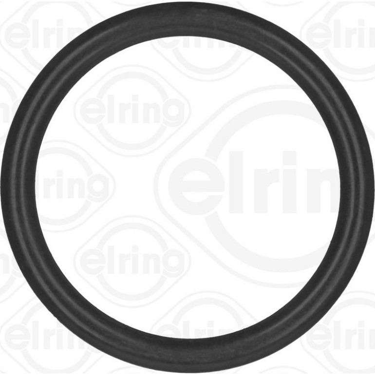 Dichtring 788.770 Dichtring 788.770