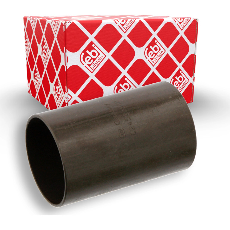 FEBI BILSTEIN 02458 Lagerbuchse, Blattfeder