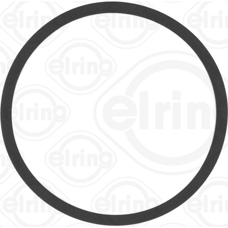 Dichtring 366.310