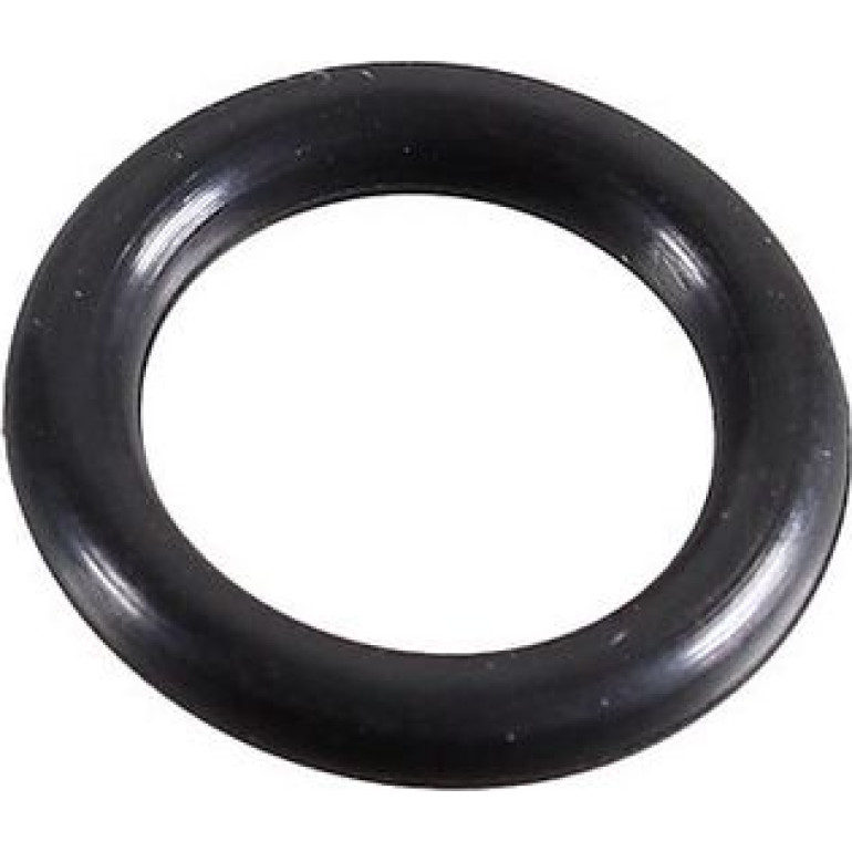 Dichtring 2430096 Dichtring 2430096