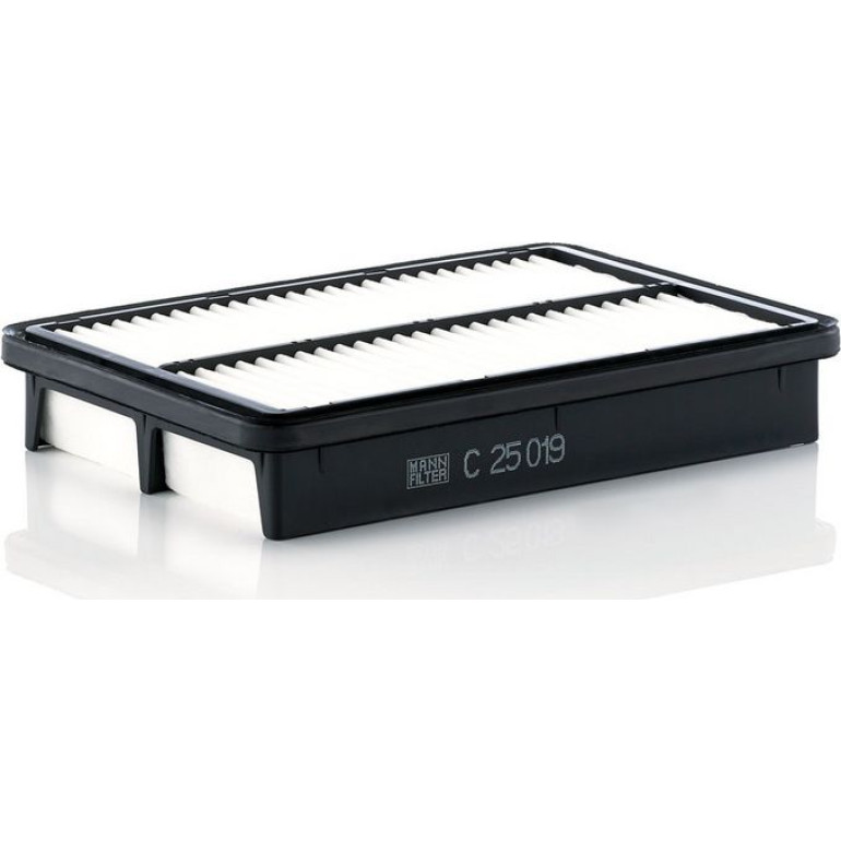 MANN-FILTER C 25 019 Luftfilter