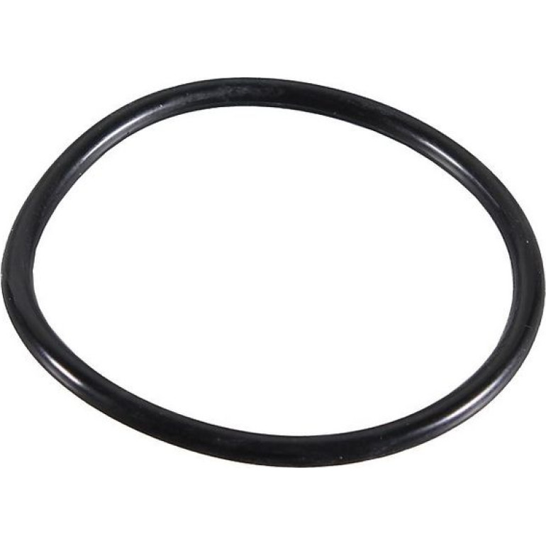 Dichtring 2430133 Dichtring 2430133