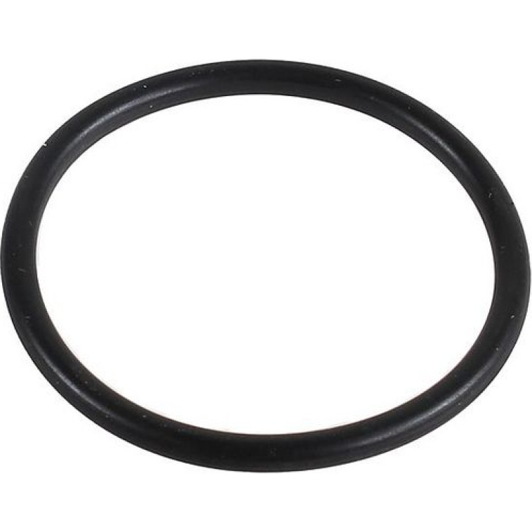 Dichtring 2430007 Dichtring 2430007