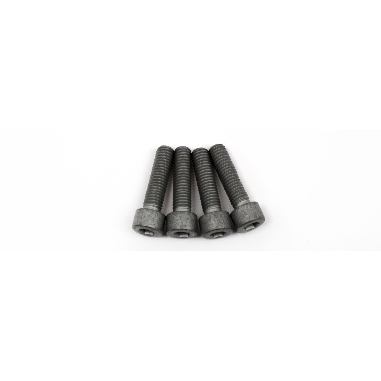 Riemenscheibe, Kurbelwelle DPF357.06K2
