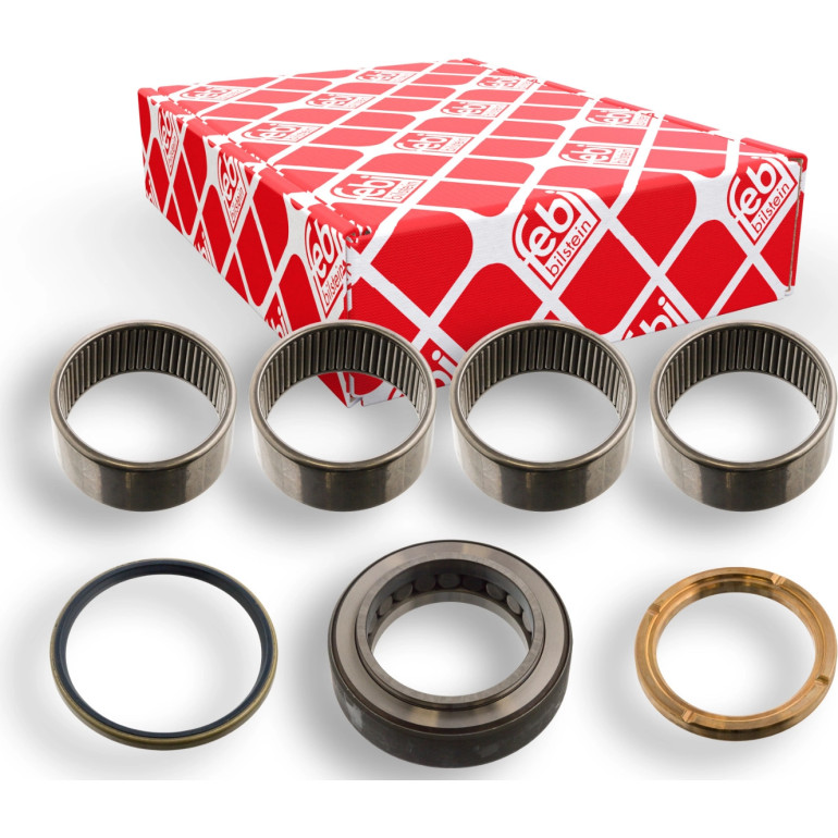 FEBI BILSTEIN 15856 Reparatursatz, Achsschenkelbolzen