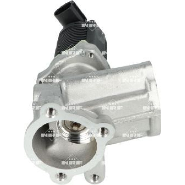 AGR-Ventil 48325 AGR-Ventil 48325