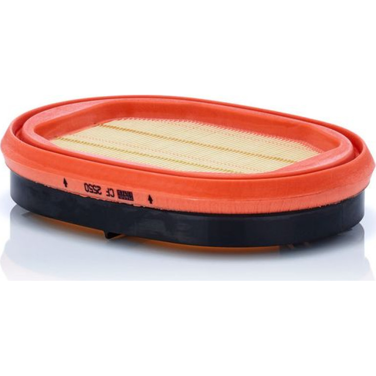 Sekundärluftfilter CF 2550