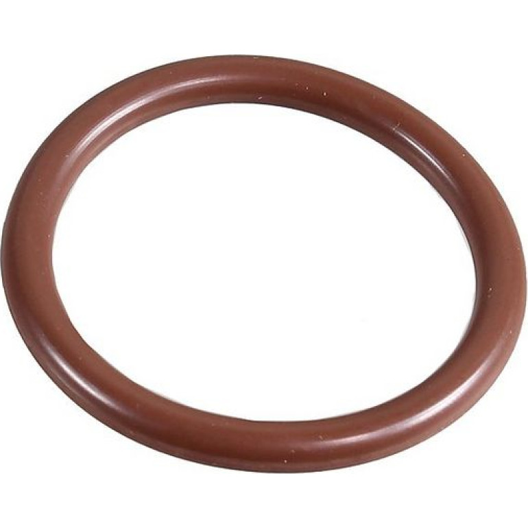 Dichtring 2430078
