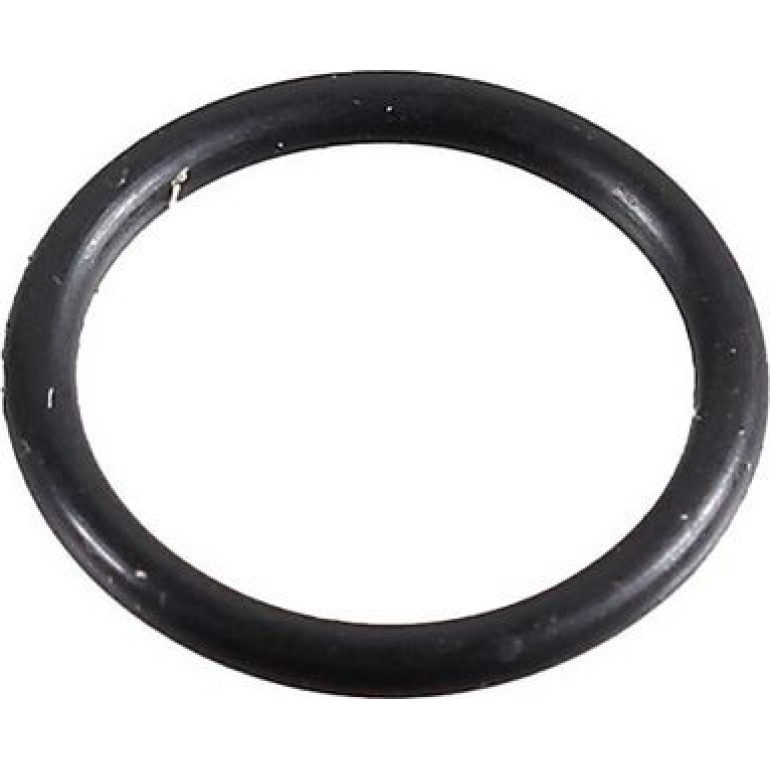 Dichtring 2430081 Dichtring 2430081