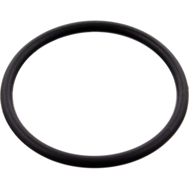 FEBI BILSTEIN 100077 Dichtung, Thermostatgehäuse