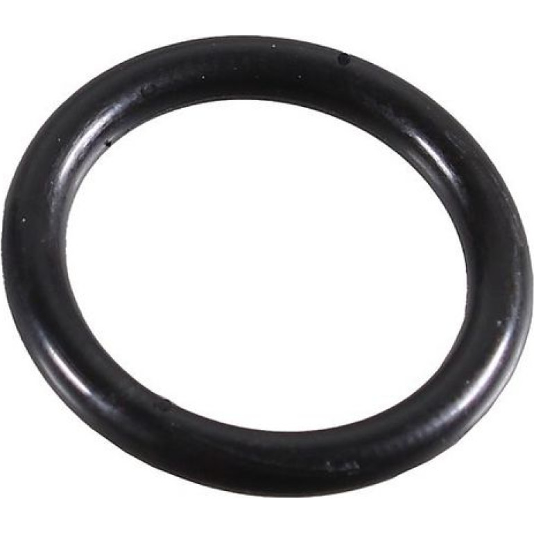 Dichtring 2430087