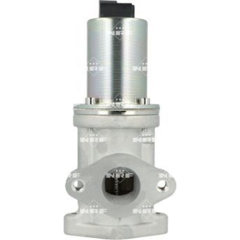 AGR-Ventil 48689 AGR-Ventil 48689