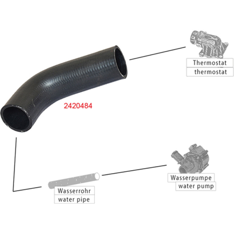Kühlerschlauch 2420484