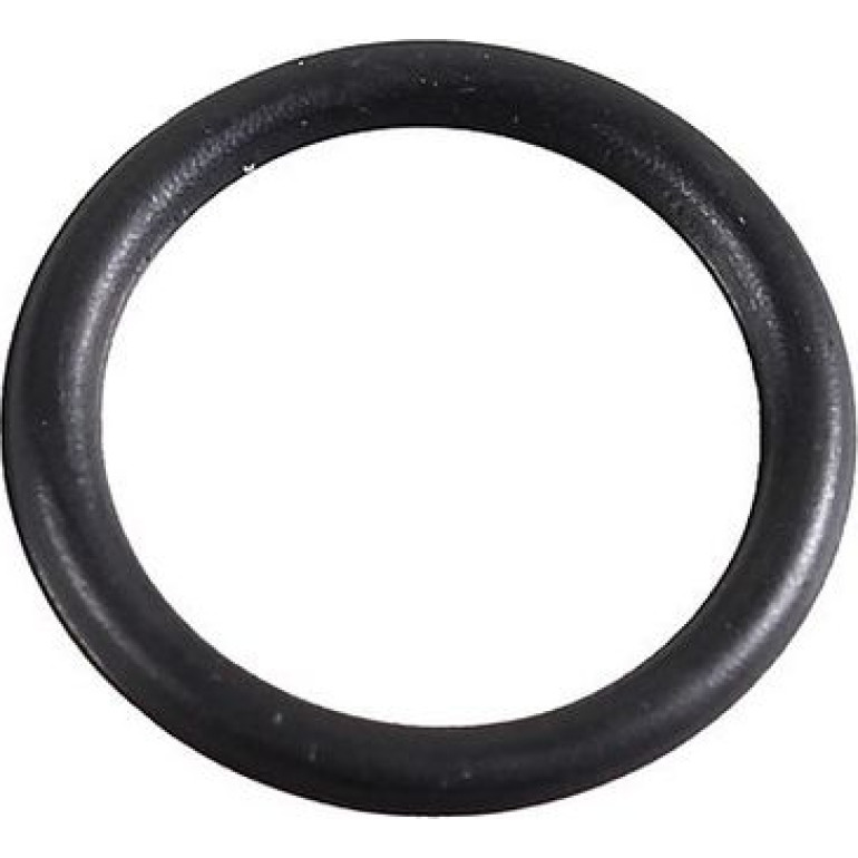 Dichtring 2430028 Dichtring 2430028