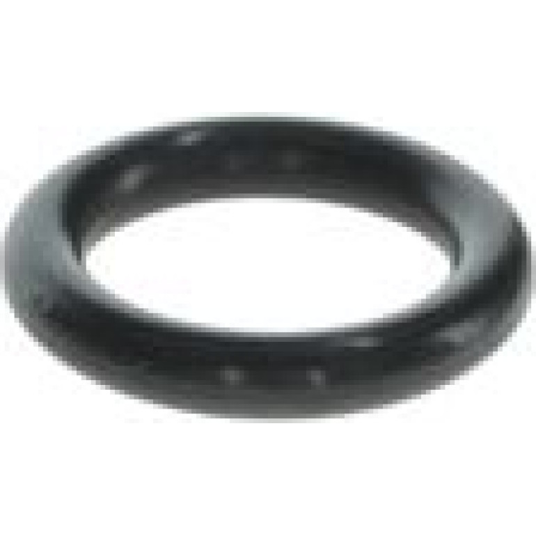 Dichtring F 00R J01 456 Dichtring F 00R J01 456