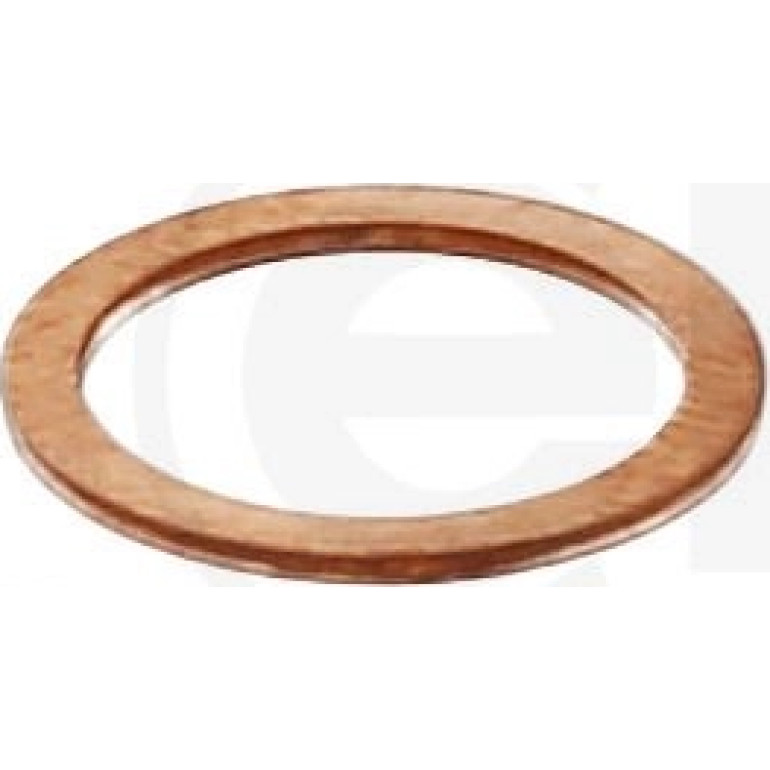 Dichtring 110.507