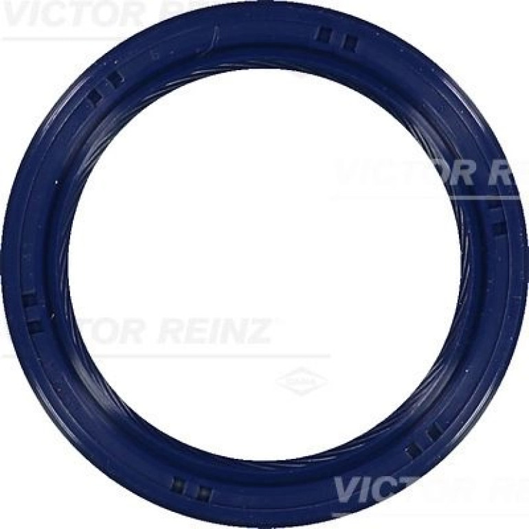 Wellendichtring, Kurbelwelle 81-53699-00