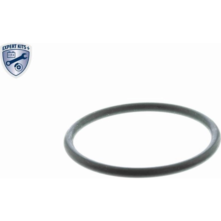 Thermostat, Kühlmittel V25-99-1709