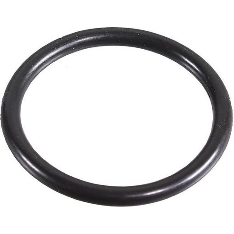 Dichtring 2430059 Dichtring 2430059
