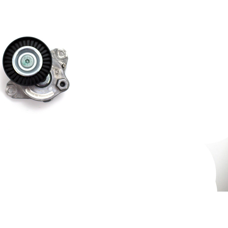 Spannrolle, Keilrippenriemen T38319